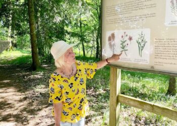 Kräuterwanderung „Wildkräuter und Arzneipflanzen entdecken bei einer Wanderung rund ums Gmöser Moor“