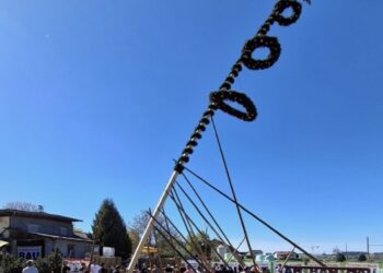 Maibaumfest in Thern begeistert Besucher