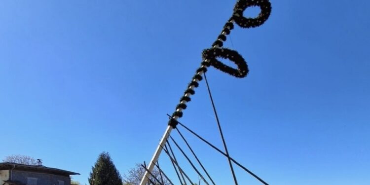 Maibaumfest in Thern begeistert Besucher