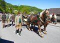 Brauchtumspflege in Traunkirchen: Maibaumtransport mit „sattem 2 PS Pferdefuhrwerk“!