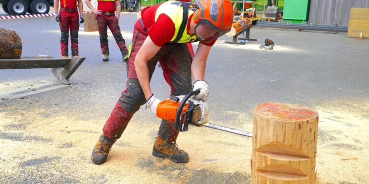 Der Mai ist gekommen – Maiwipferlfest der Forstfachschule im Waldcampus Traunkirchen