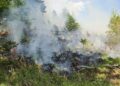 Teelicht löst Waldbrand in St. Wolfgang aus