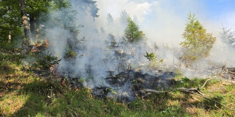 Teelicht löst Waldbrand in St. Wolfgang aus
