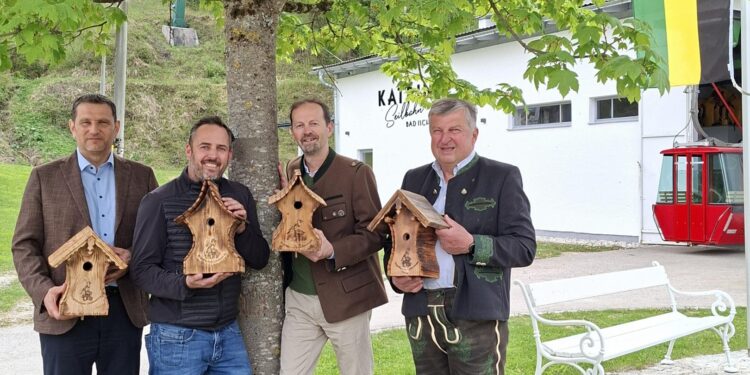 Vogelfreunde montieren neue Nistkästen auf der Katrin