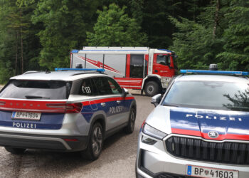Mann in Altmünster offenbar in Fischteich gestürzt und ertrunken