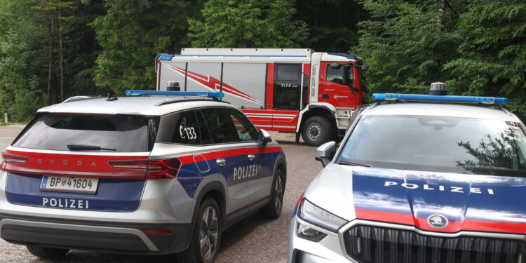 Mann in Altmünster in Fischteich gestürzt und ertrunken