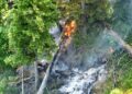 Waldbrand am Arikogel: 80 Einsatzkräfte stundenlang im schwierigen Gelände gefordert