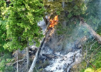 Waldbrand am Arikogel: 80 Einsatzkräfte stundenlang im schwierigen Gelände gefordert
