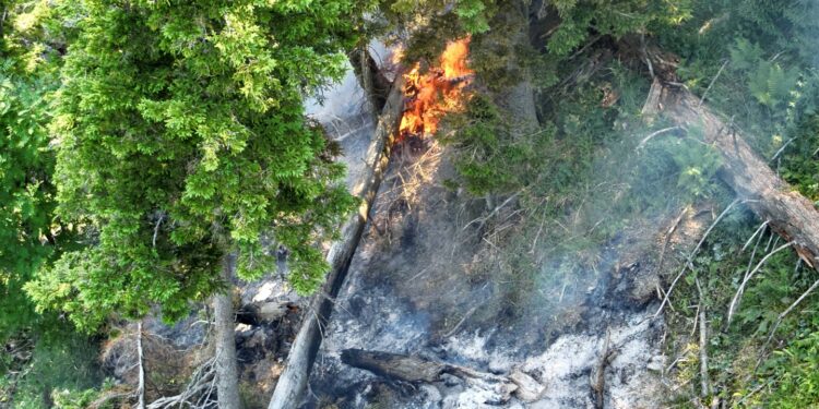 Waldbrand am Arikogel: 80 Einsatzkräfte stundenlang im schwierigen Gelände gefordert