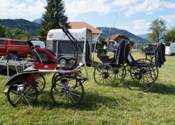 Fahrertreffen 2026 des Team RFV Fleckleiten mit der OÖ Meisterschaft der Ländlichen!