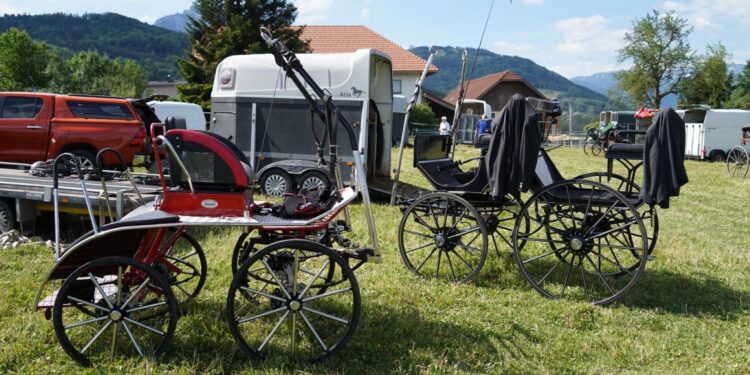 Fahrertreffen 2026 des Team RFV Fleckleiten mit der OÖ Meisterschaft der Ländlichen!