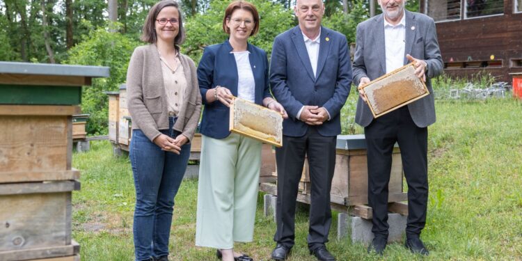 LRin Michaela Langer-Weninger: Süße Neuigkeiten für OÖ Imkerinnen und Imker