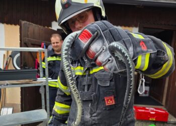 Schlangenalarm in Altmünster