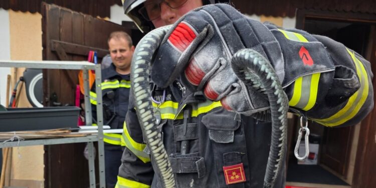 Schlangenalarm in Altmünster