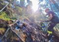 Waldbrand im Hochgebirge in Bad Goisern