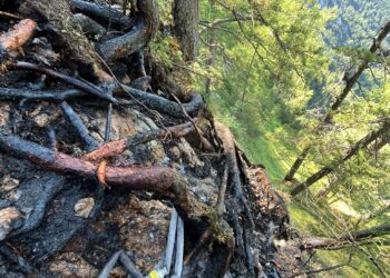 Waldbrand im Hochgebirge in Bad Goisern