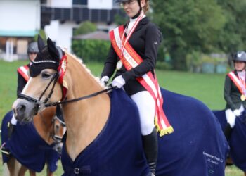 Reitverein Traunsee bei den Ländlichen Bundesmeisterschaften für Haflinger Dressur/Springen erfolgreich