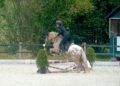 Beim Working-Equitation-Reitertreffen des URFV Fleckleiten gab es Spannung pur!