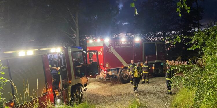 Abendsonne sorgt für vermeintlichen Waldbrand in Grünau