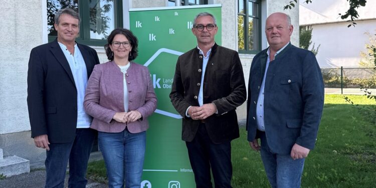 Bäuerliche Zukunft gestalten: Landwirtschaft im Bezirk Vöcklabruck