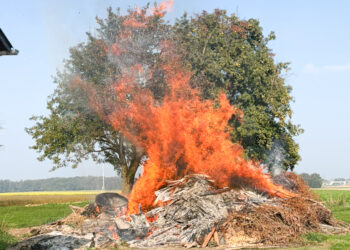 Schneller Löscheinsatz verhinderte Großbrand in Ohlsdorf