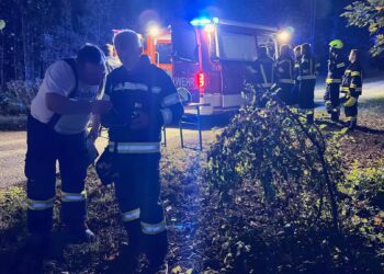 Fehlalarm: Notruf-App eines Handys löste größeren Personenrettungseinsatz aus