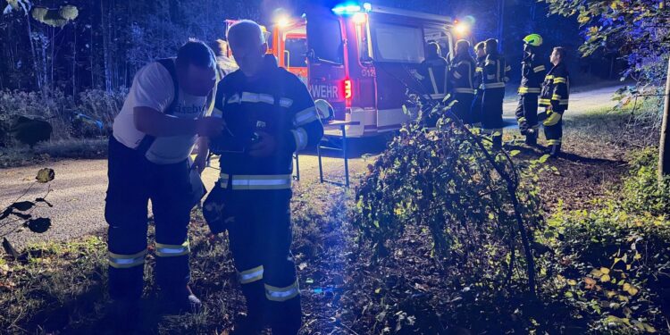 Fehlalarm: Notruf-App eines Handys löste größeren Personenrettungseinsatz aus