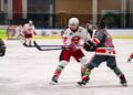Sharks drehen das Spiel gegen die KSV Kängurus – Haifischbecken bebt!