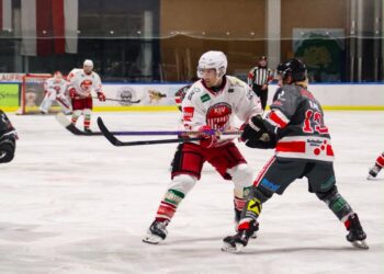 Sharks drehen das Spiel gegen die KSV Kängurus – Haifischbecken bebt!
