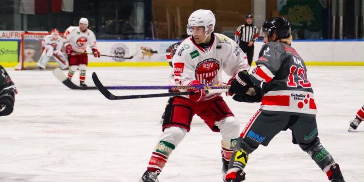 Sharks drehen das Spiel gegen die KSV Kängurus – Haifischbecken bebt!